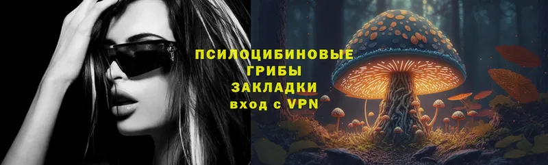 Псилоцибиновые грибы Magic Shrooms Новое Девяткино